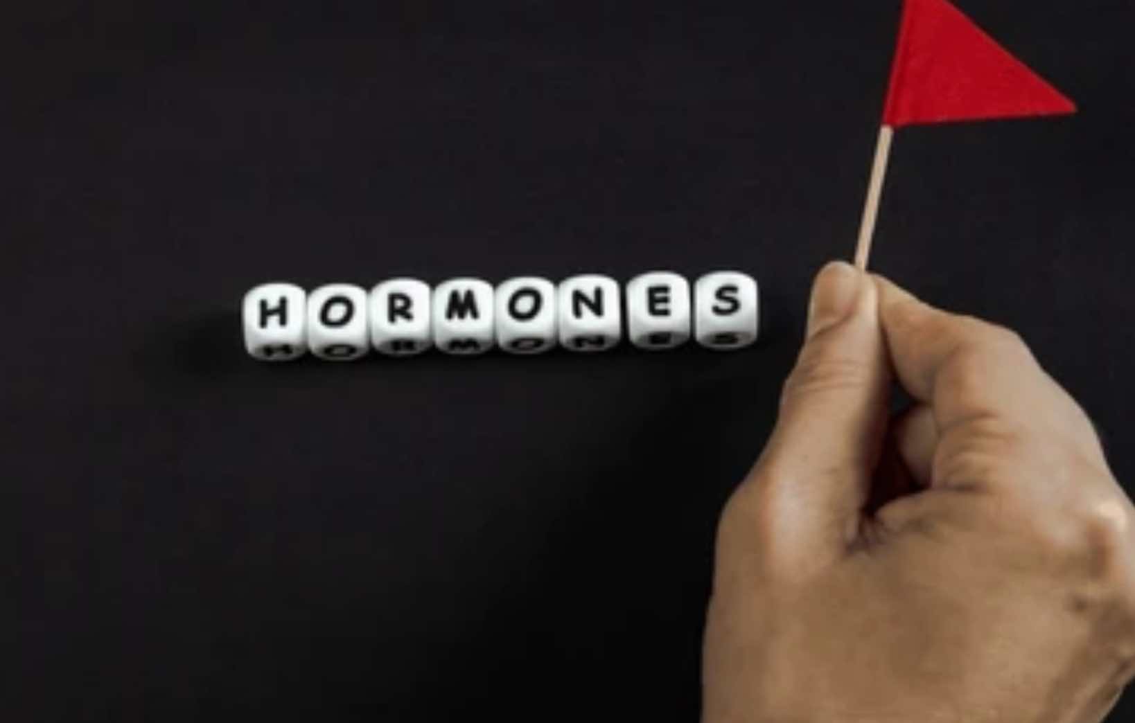 디지털 디톡스와 호르몬 균형: 멜라토닌, 코르티솔, 세로토닌 변화 연구