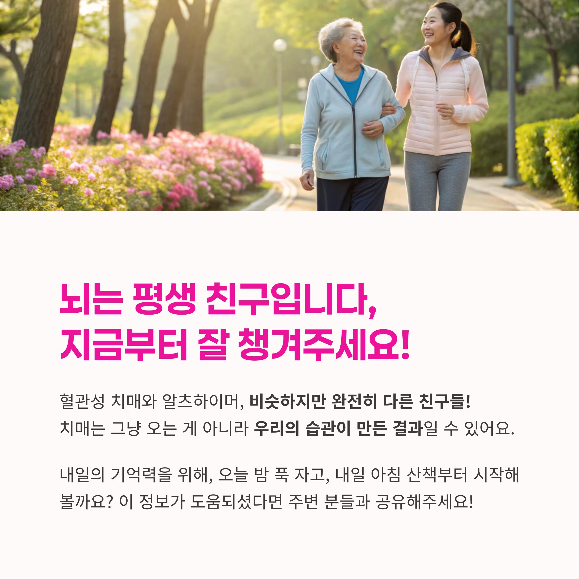사회적 활동,
