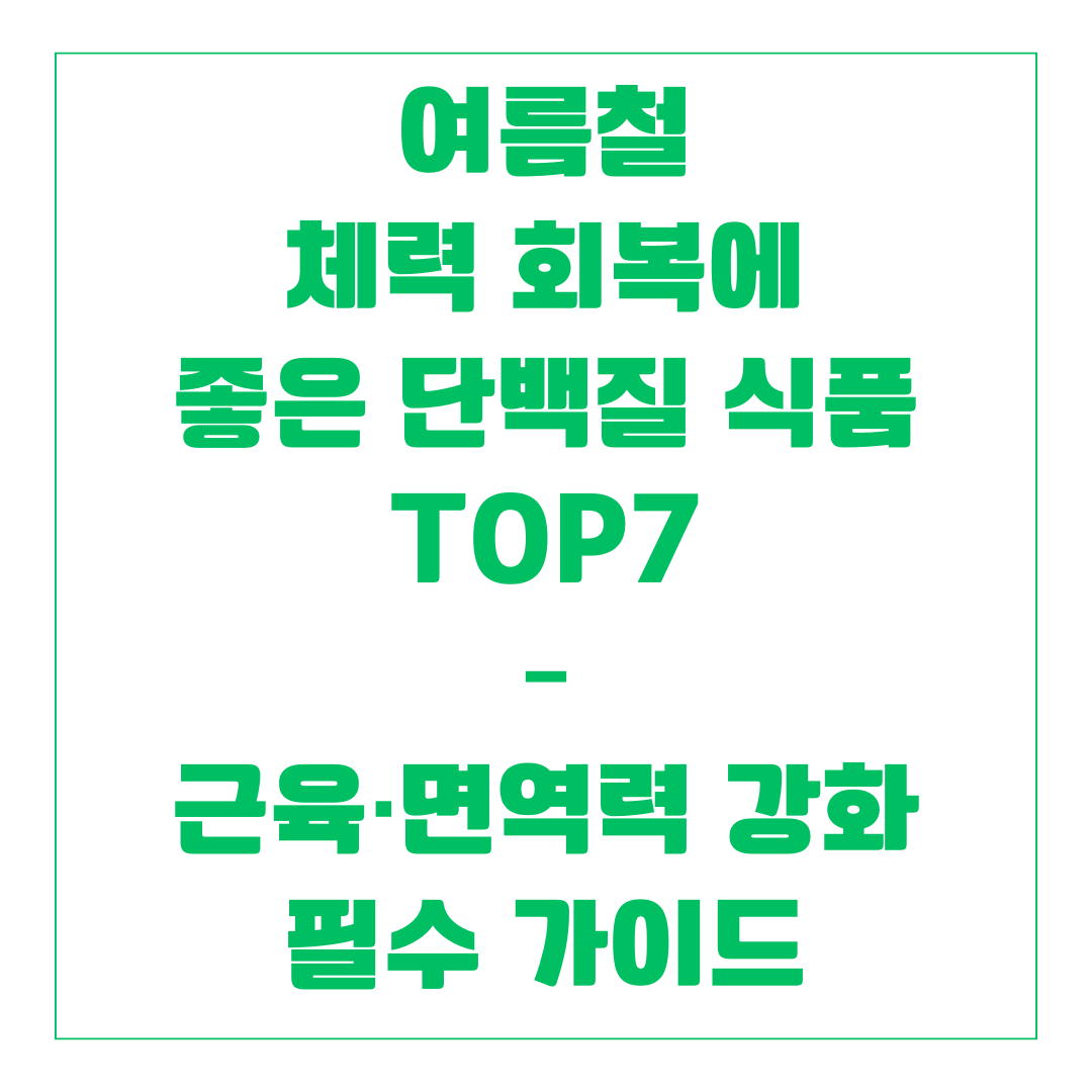 여름철 체력 회복에 좋은 단백질 식품 TOP7