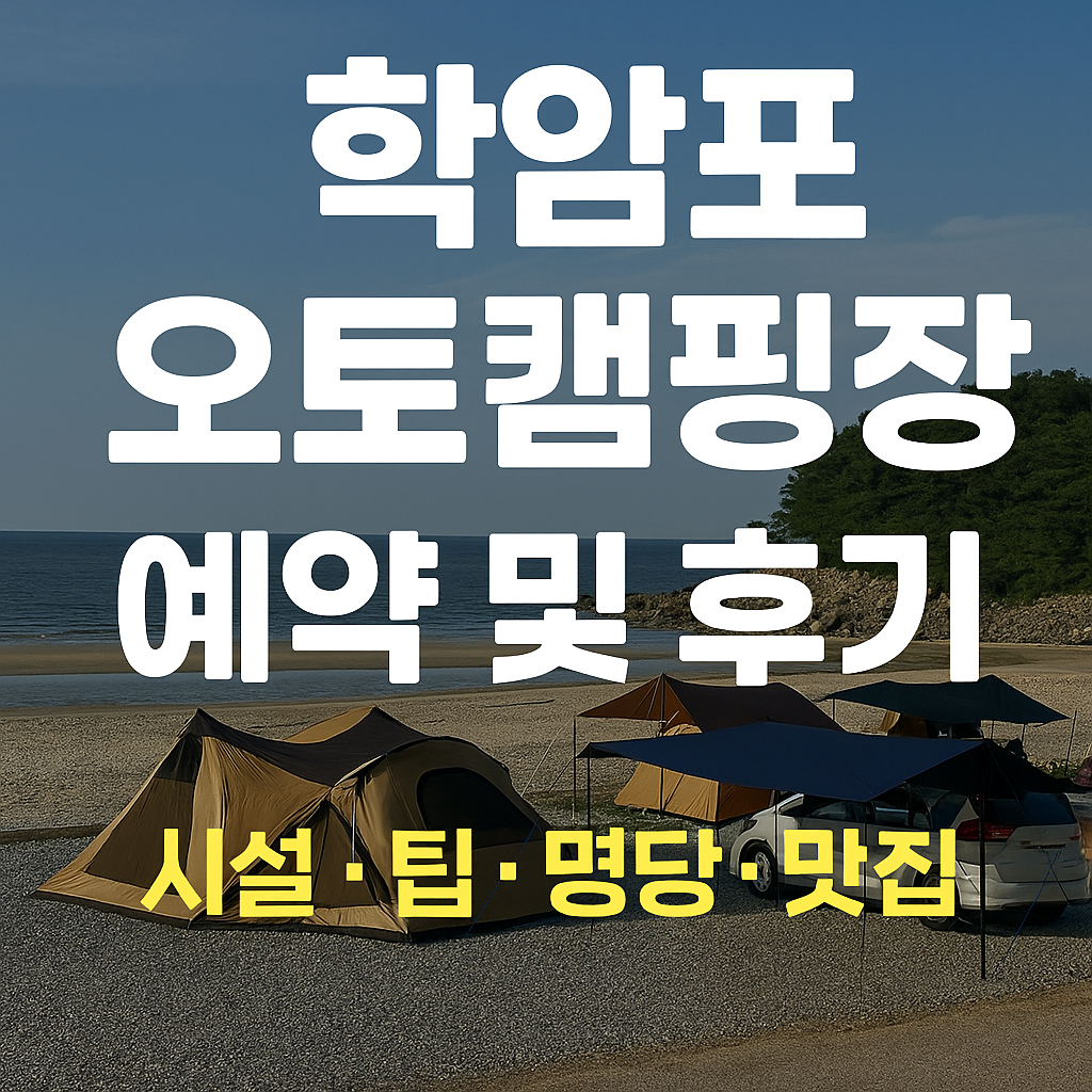학암포 오토캠핑장 예약 명당 카라반