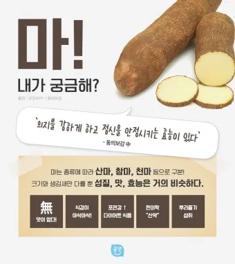 마 효능 보관법 먹는법 마즙 만들기까지 종합 가이드_2