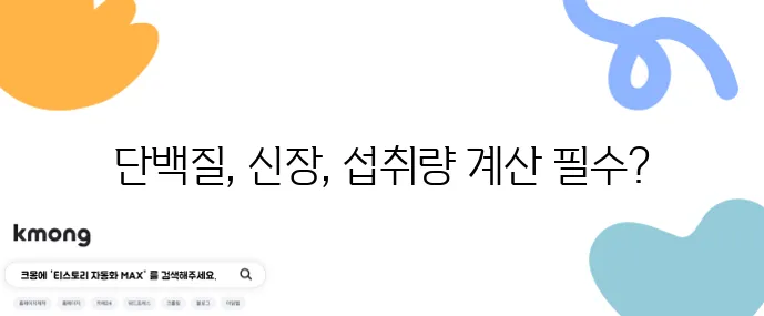 단백질 과다 섭취 신장 부담 줄이는 1일 섭취량 계산이 중요합니다