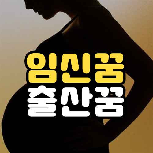 임신꿈 출산꿈 꿈해몽