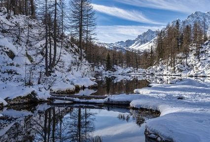 화천 산천어축제 예약 입장료 숙소 일정 주차장