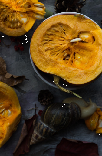 붓기빼는법과 관련된 사진