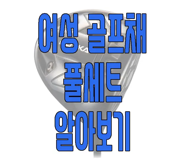 여성 골프채에 관한 글 보러 가기 링크 사진