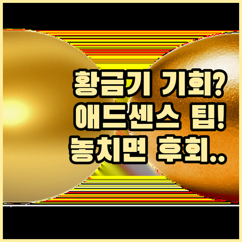 블랙프라이데이 크리스마스 시즌 애드센..