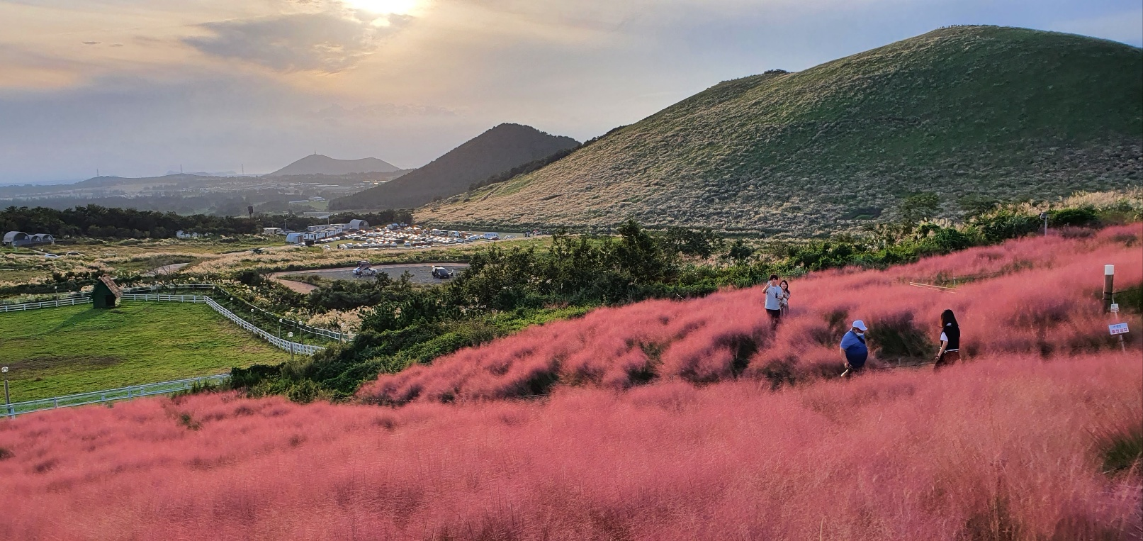 가을 새별 오름 카페 "제주당"에서 바라본 풍경