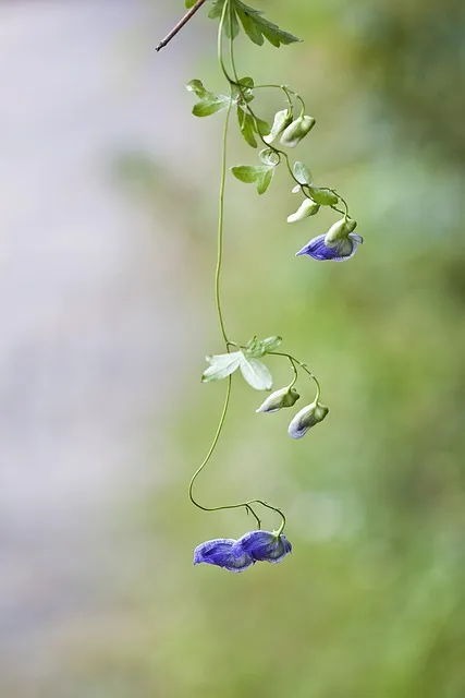 평창 가볼만한곳 베스트10 완벽 자연 여행_1