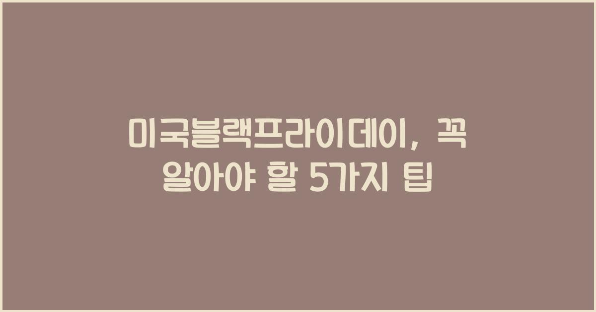 미국블랙프라이데이