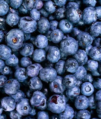 저속 노화 식단. 노화를 늦추는 식단 관리법과 직접 만든 건강 레시피