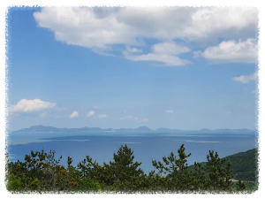 외나로도 편백숲