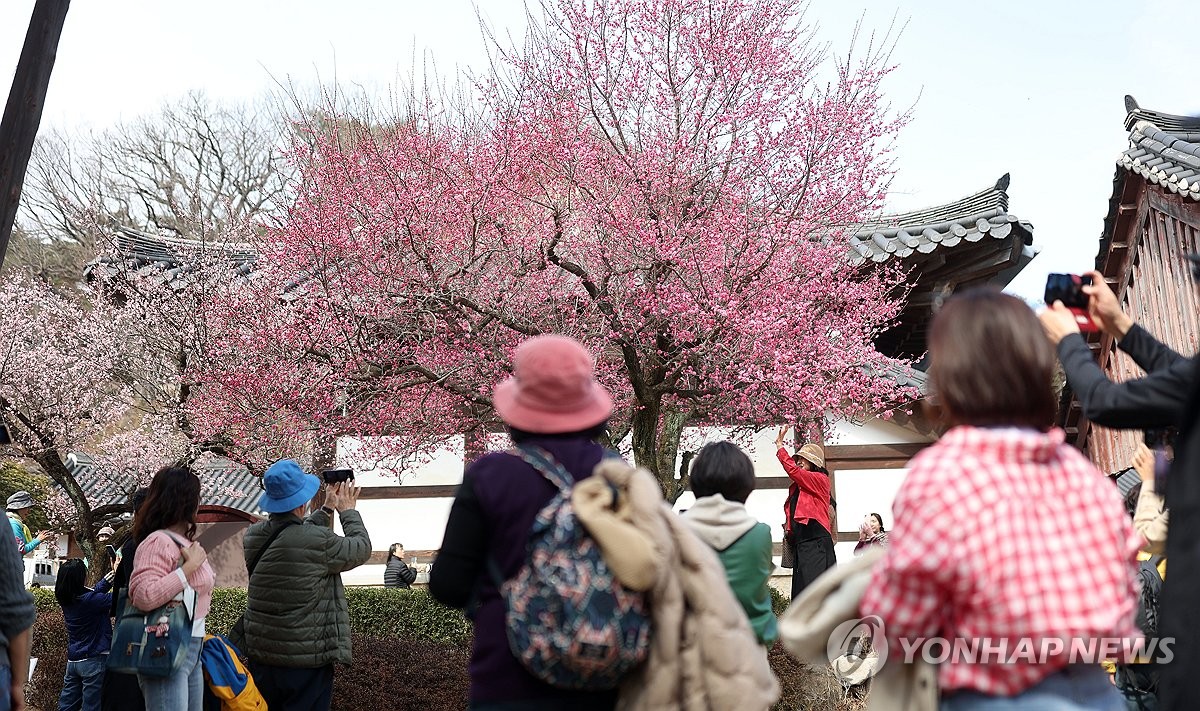 경남 양산 통도사에는 지금 &lsquo;우담바라 꽃이 피었다&rsquo;
