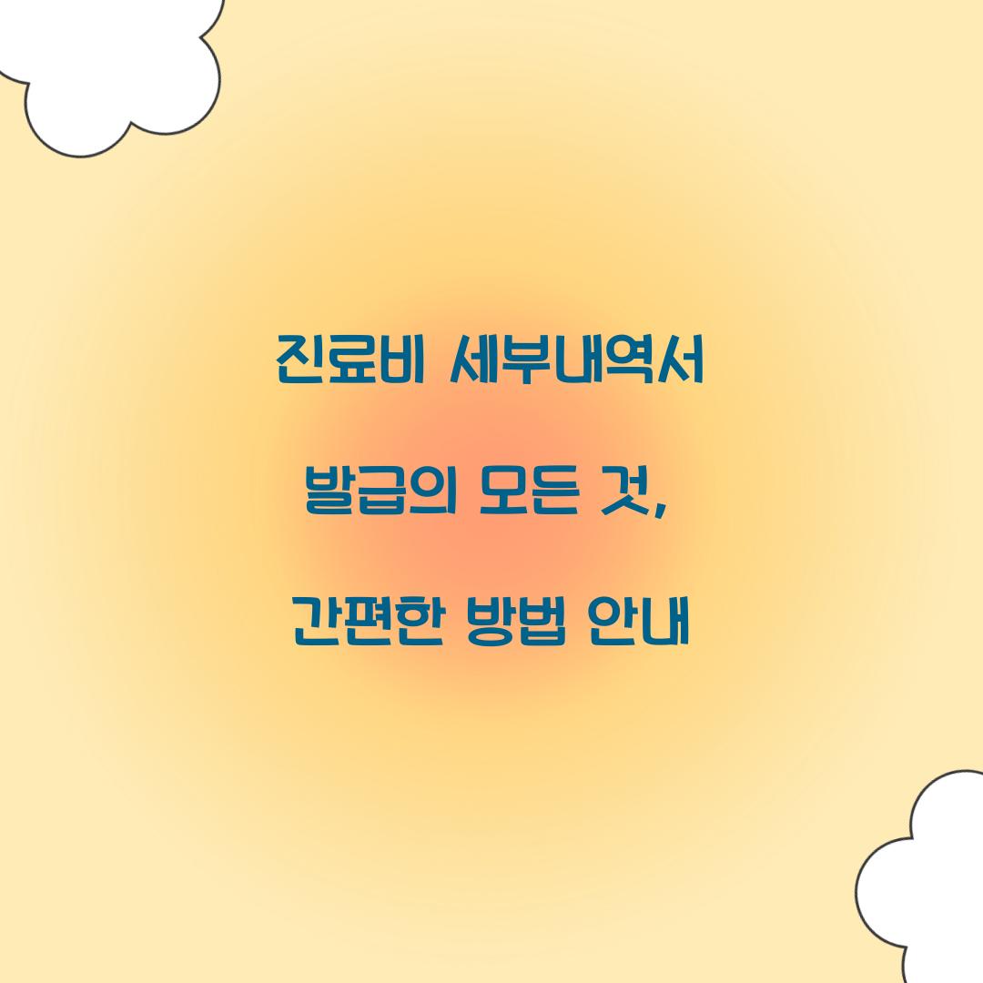 진료비 세부내역서 발급