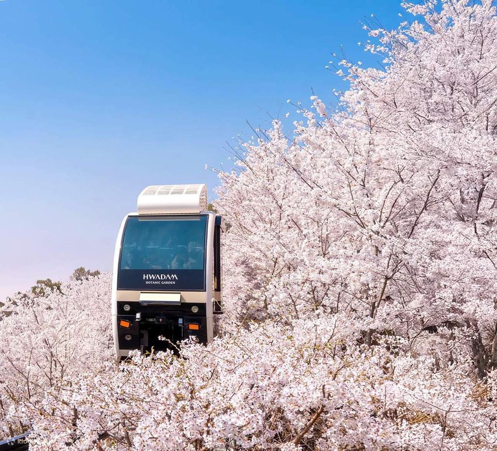 화담숲 3분만에 온라인 예약하러 가기