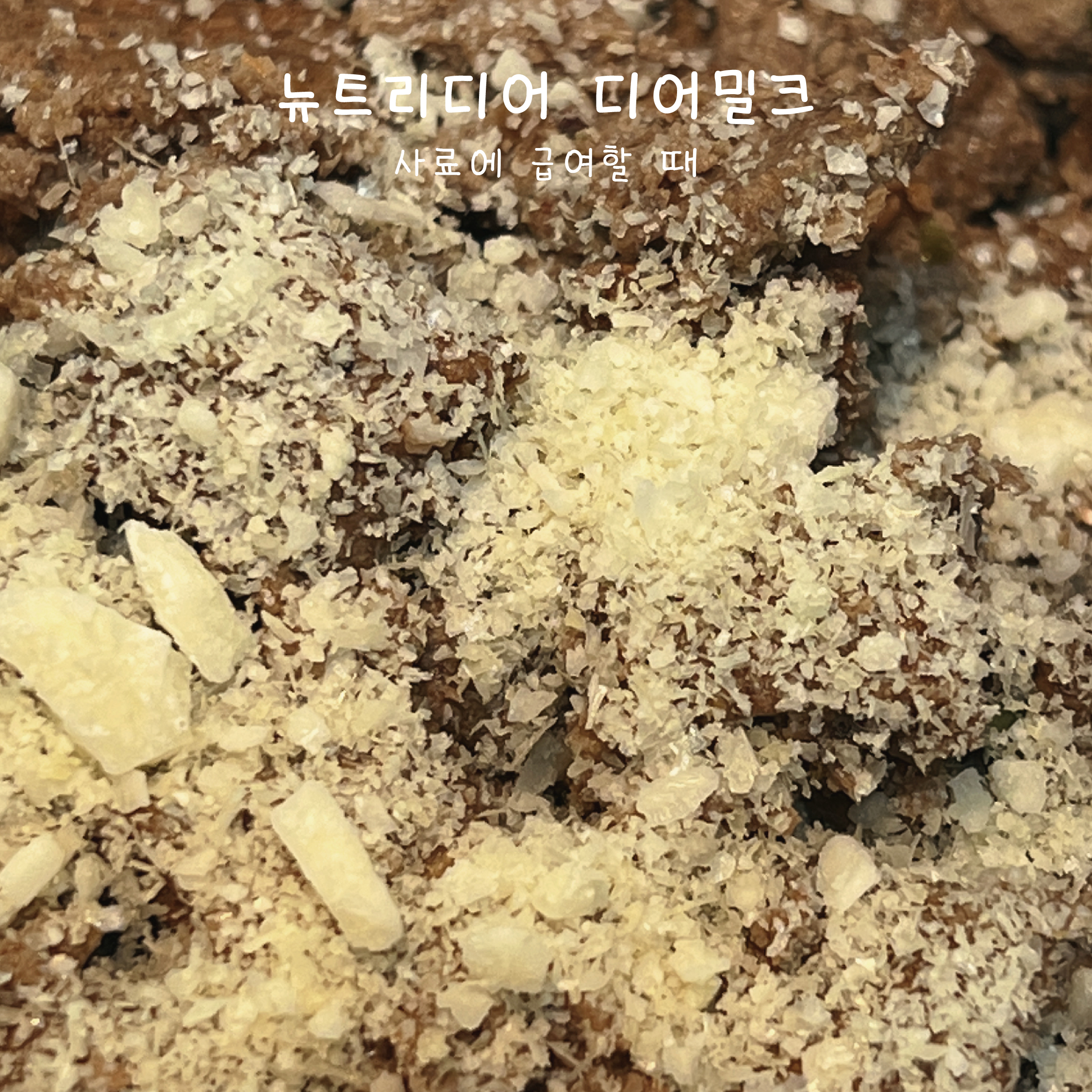 뉴트리디어 디어밀크 강아지영양제 사슴유 동결건조우유