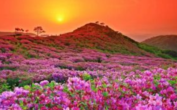 2025 가을 소백산 단풍 절정 &amp; 등산코스 가이드 ❘ 비로봉&middot;천동 코스&middot;주차장 정보