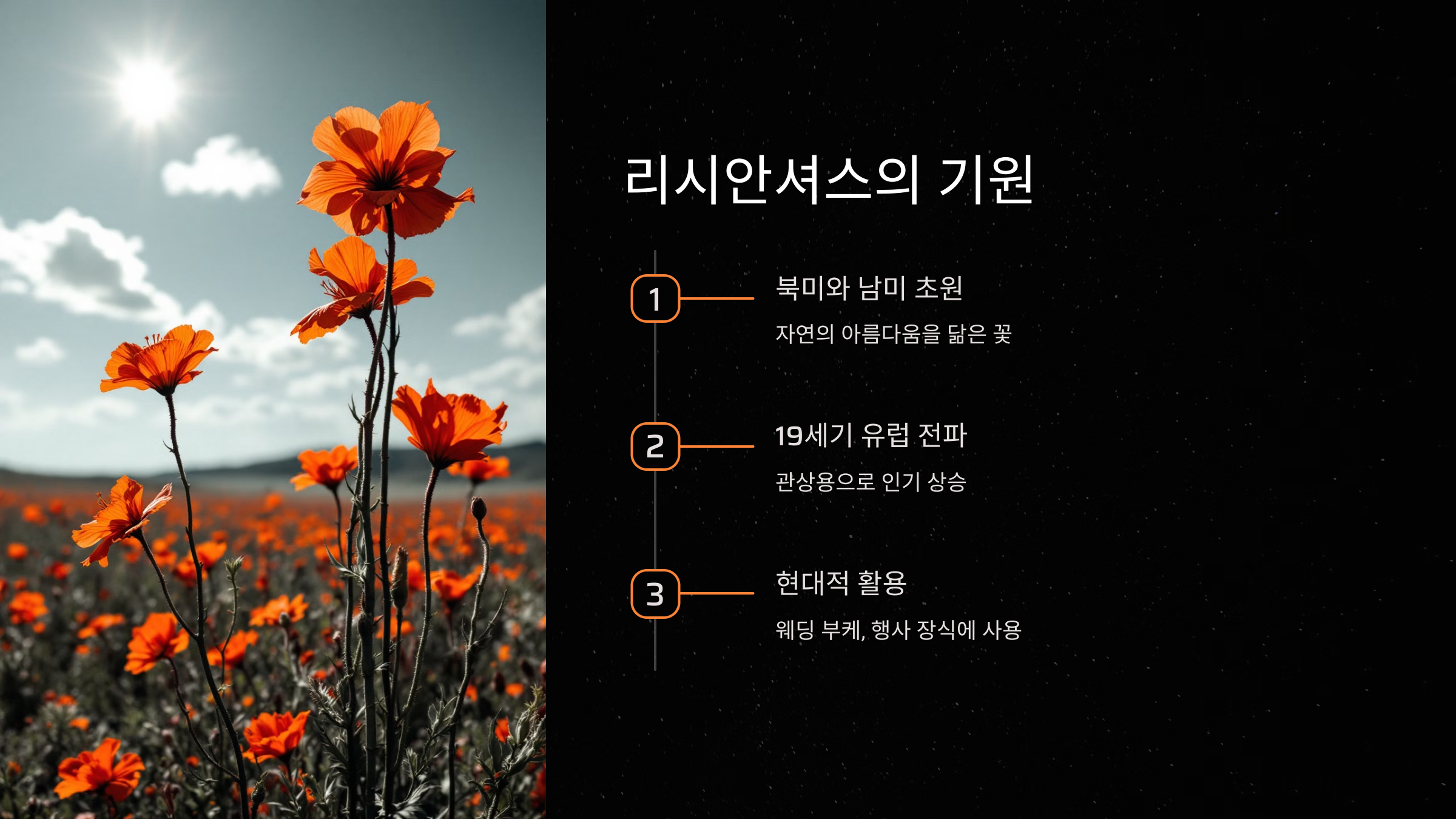 리시안셔스의 기원