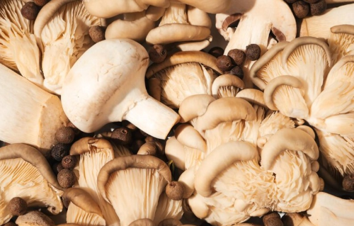 환절기 비염에 좋은 음식