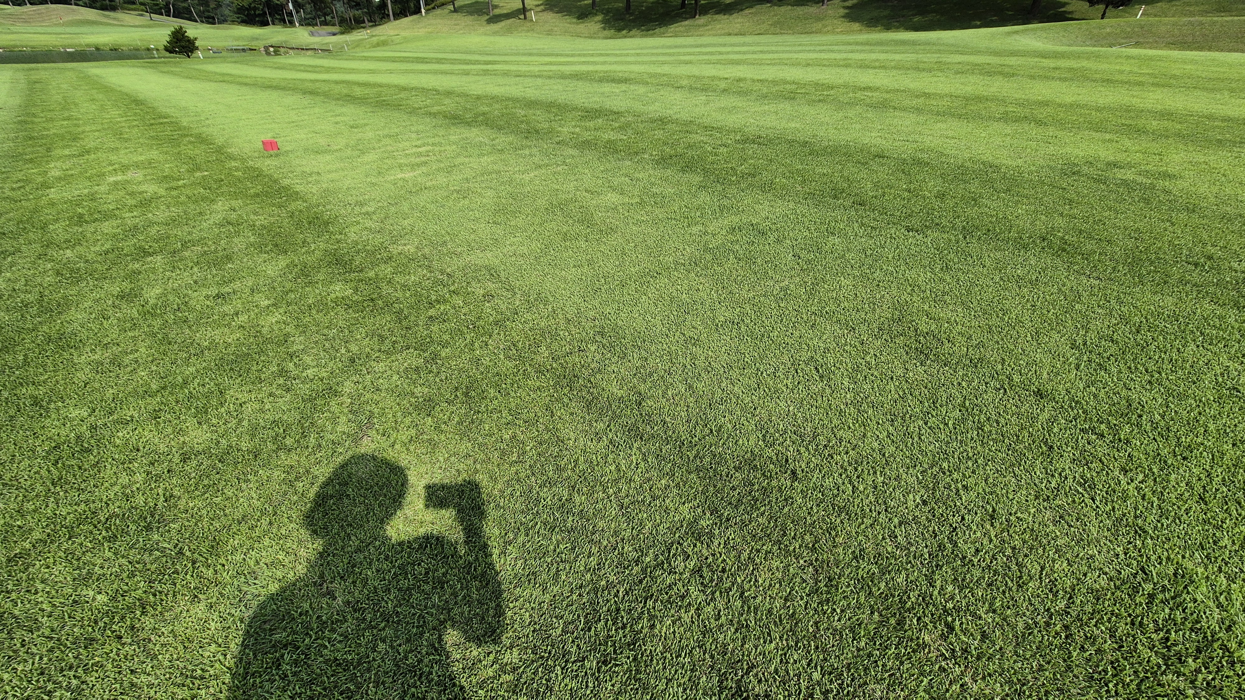동원썬밸리cc 라운드 후기