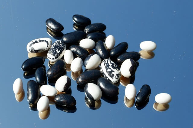 자이언트 파바빈 효능 6가지 부작용 파바빈 먹는법 꿀팁!(feat. 요리법)