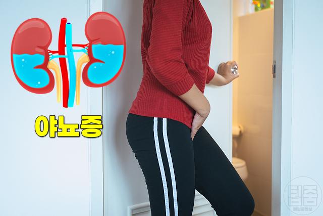 단백뇨 증상 소변거품 밤에 소변 야뇨증