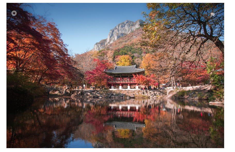 정읍 가을의 단풍이 물든 백양사
