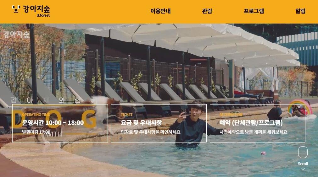 반려견과 함께하는 국내 여행지 Best 10