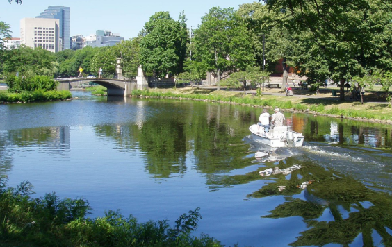 찰스강(Charles River)