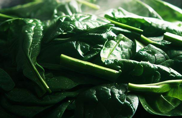 근육통에 좋은 시금치