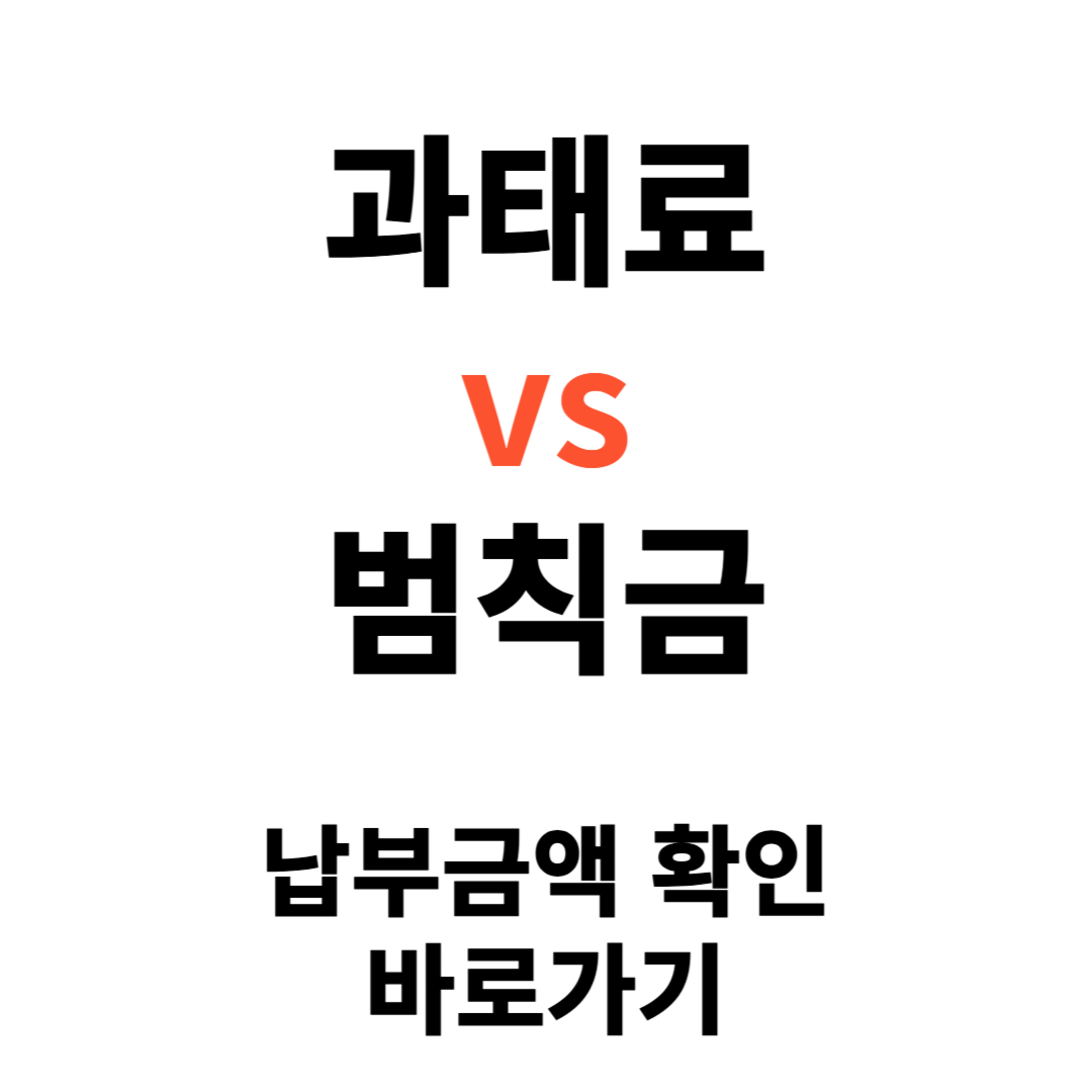 과태료와 범칙금의 차이