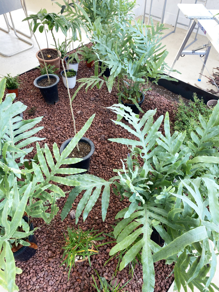 언포겟 식물정원