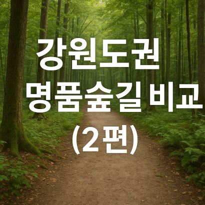 [명품숲길 50선] 강원도권 숲길 비교(2편) : 오유밭길부터 항골숲바우길까지