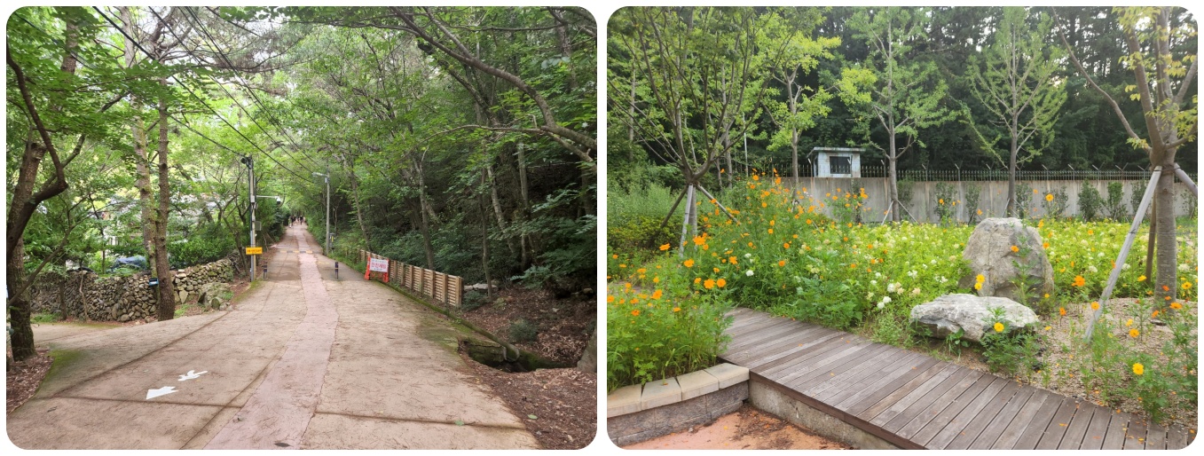 장산 등산로 사진