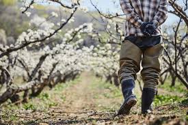 손해평가사 시험과목, 시험일정, 합격률, 전망