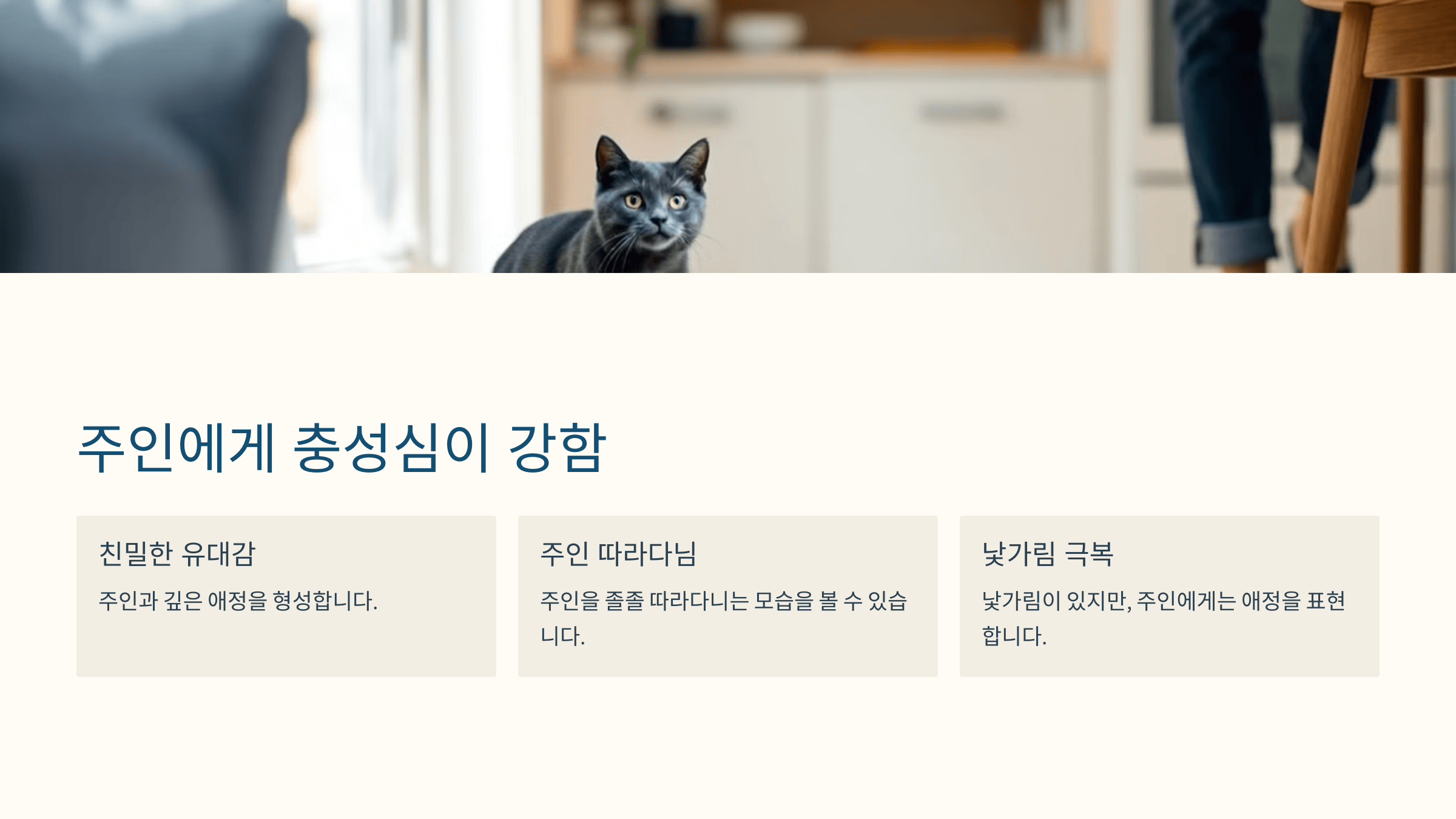 러시안블루 고양이 사진입니다.