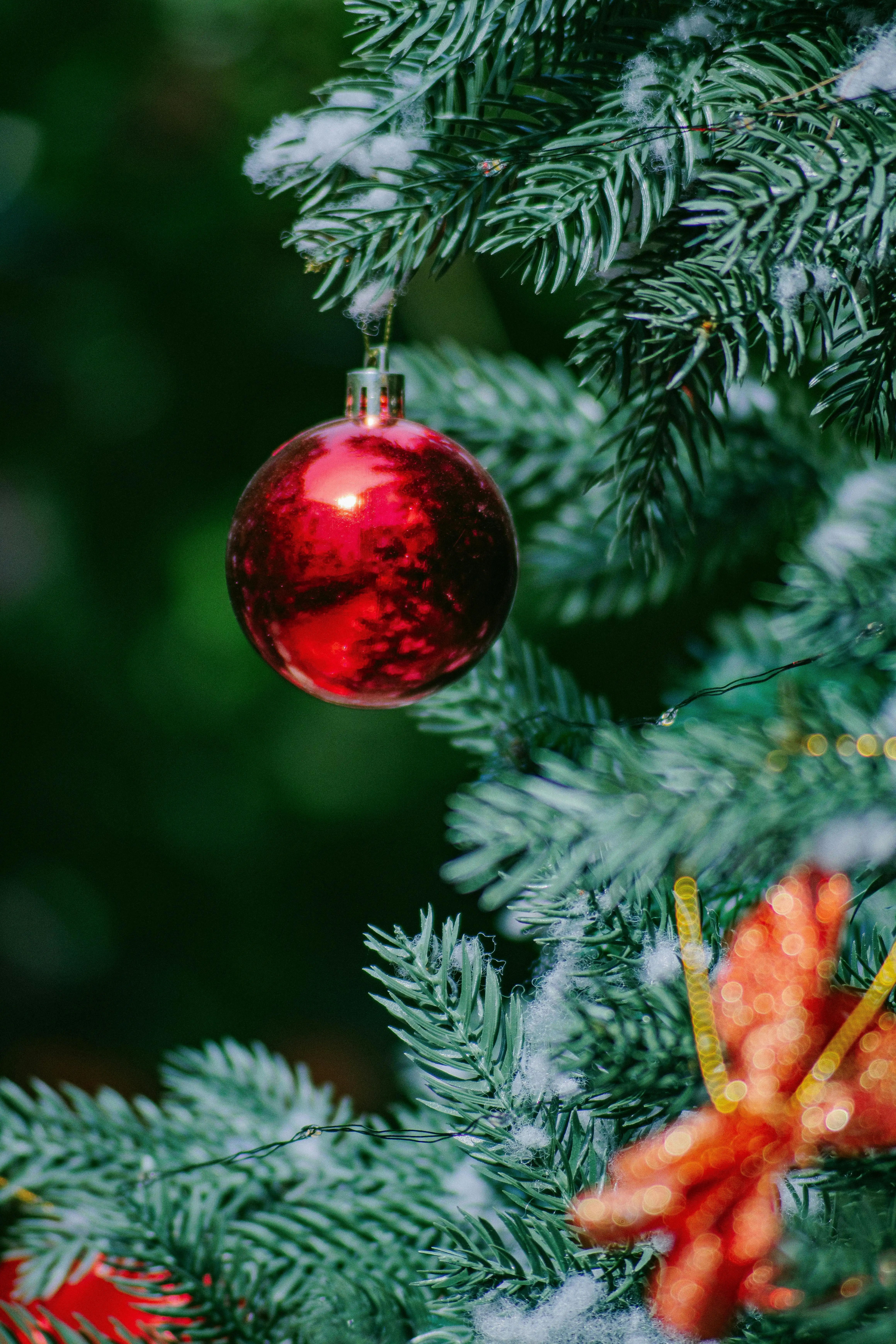 서울윈터페스타 일정 및 참여방법