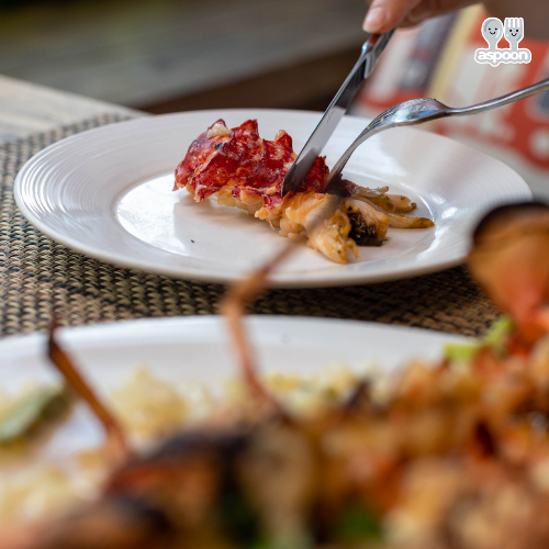 SBS 생방송 투데이 원주 혁신도시 돌스테이크