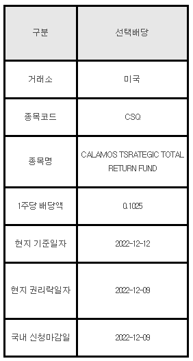 미국주식 선택배당 안내 CSQ