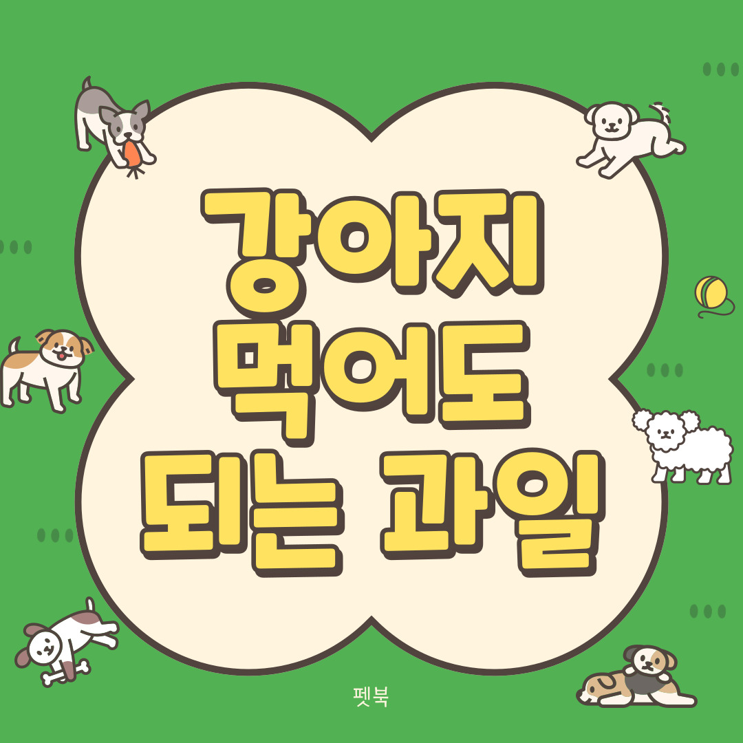 강아지 먹어도 되는 과일 추천, 주의점 및 적정 급여량