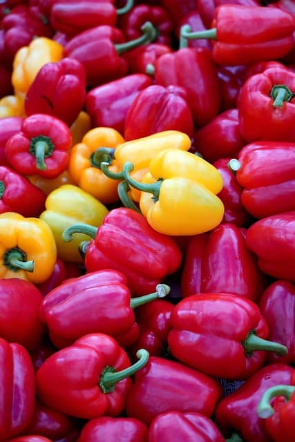 간헐적 단식 16:8 효과, 가장 실천하기 쉬운 건강 루틴의 모든 것