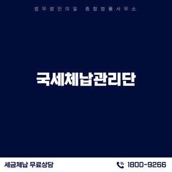국세 체납 관리 전담 인력 실제 업무 내용
