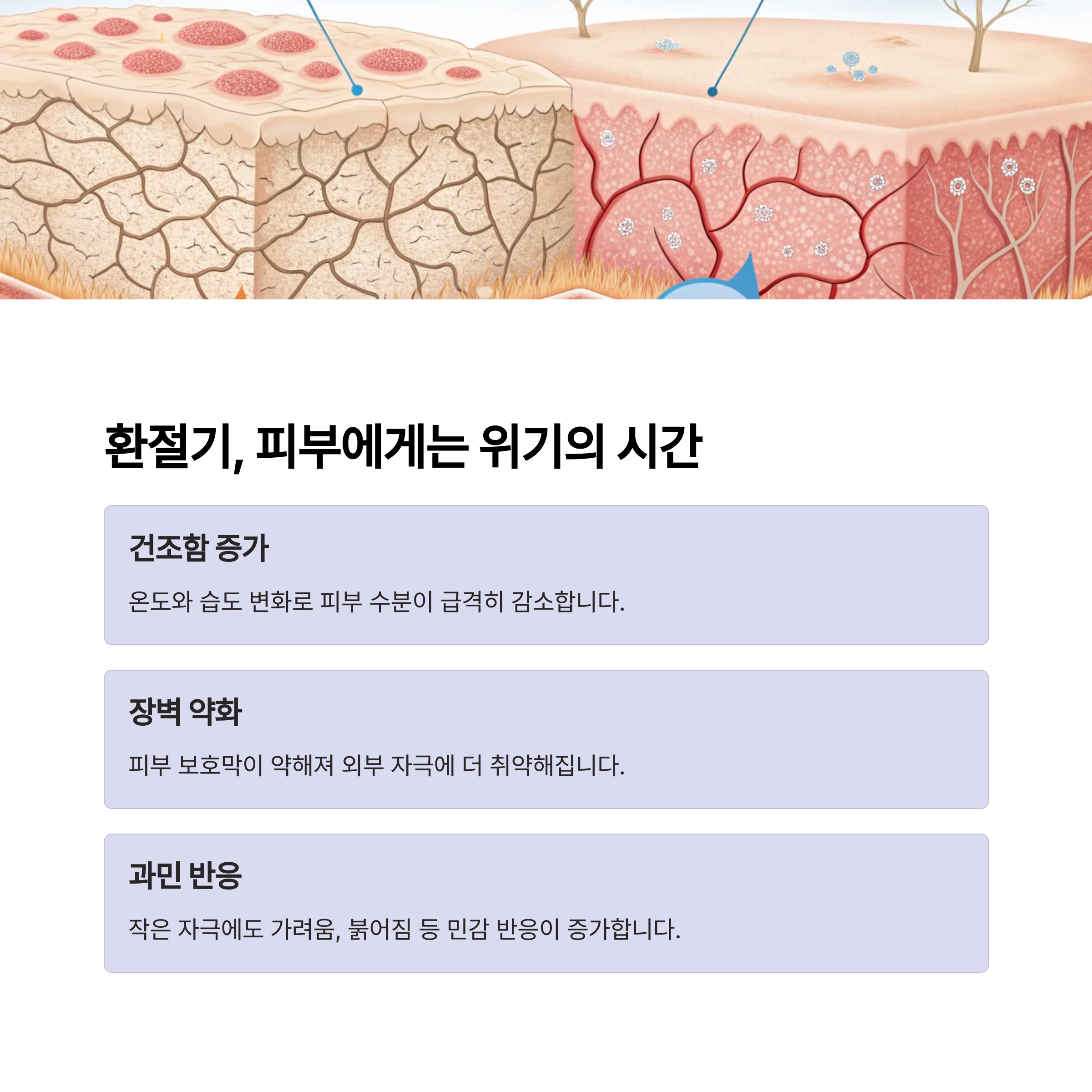 환절기, 피부에게는 위기의 시간