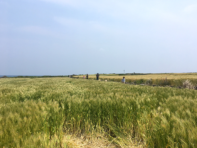 가파도-풍경-자전거-타고-즐기기16