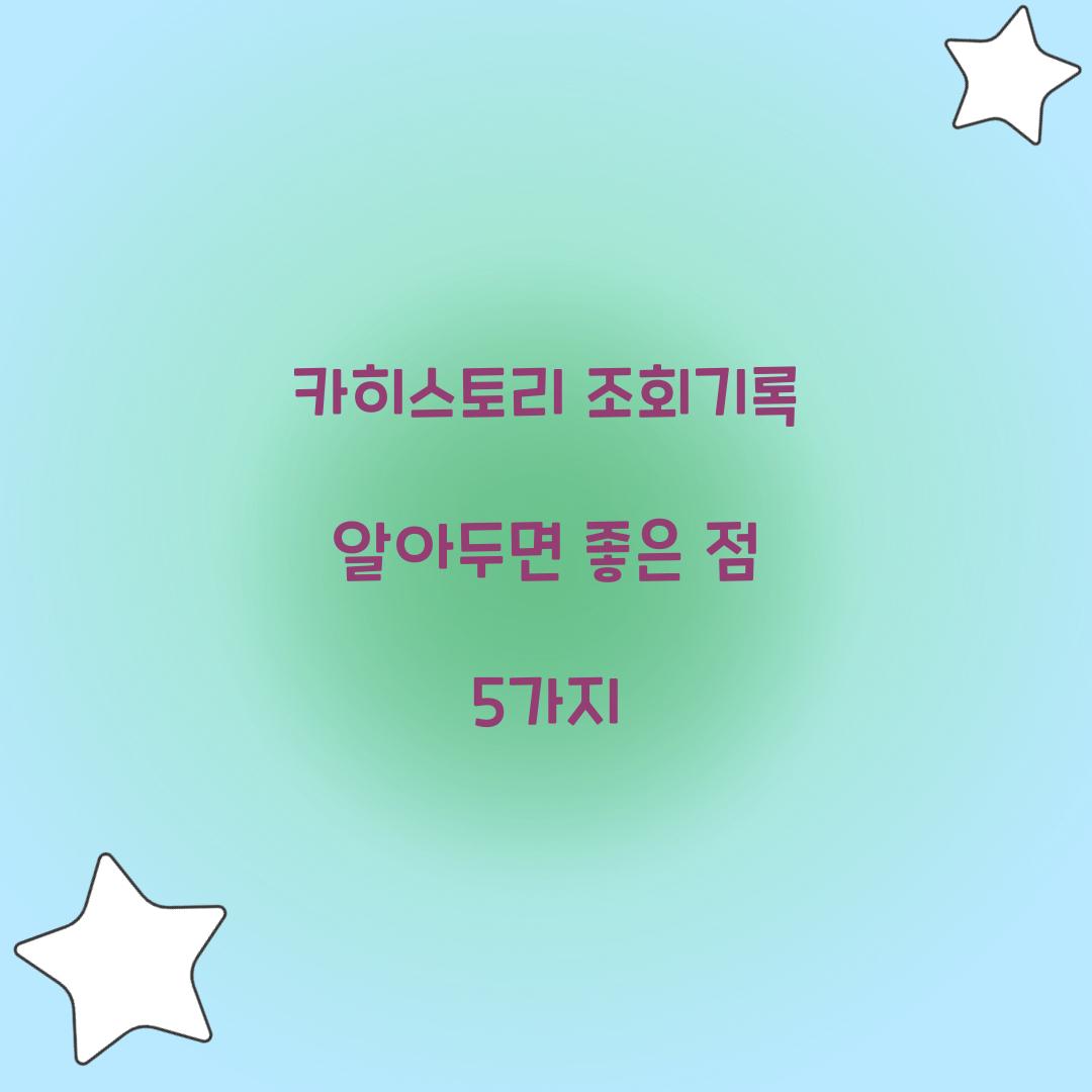 카히스토리 조회기록