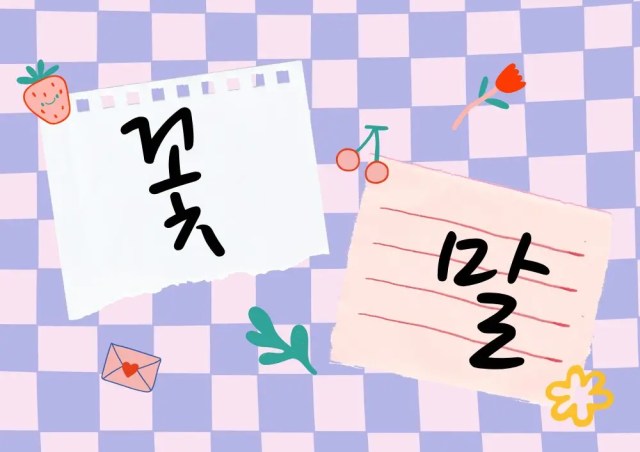 코스모스의 꽃말은 그 꽃이 주는 감성을 더욱 특별하게 만든다.
