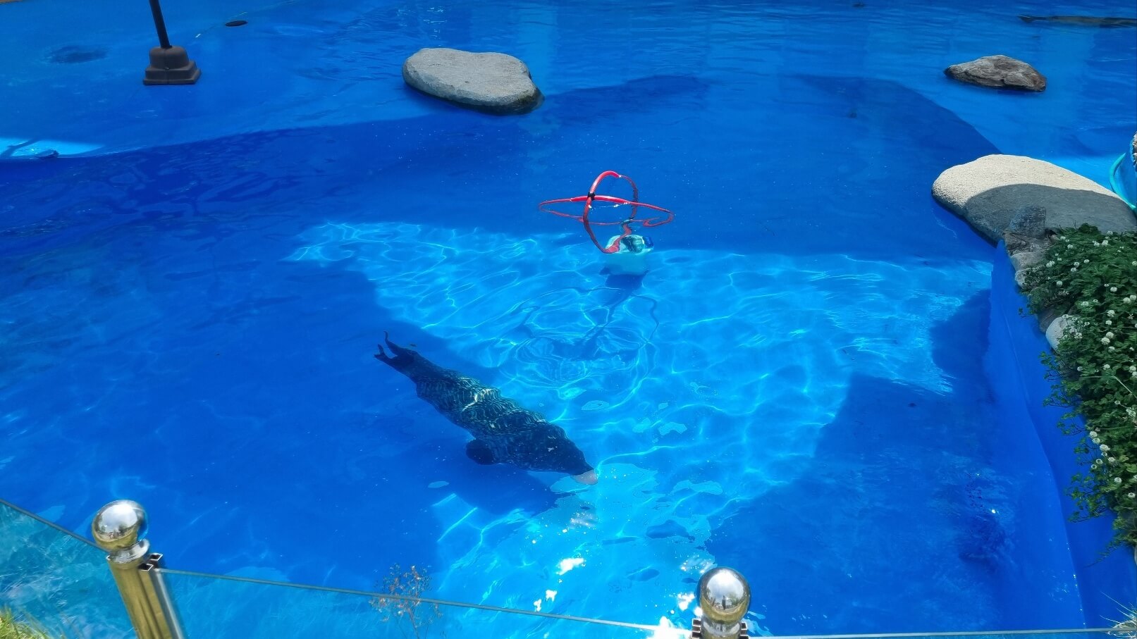 순천만국가정원 서문 동물원