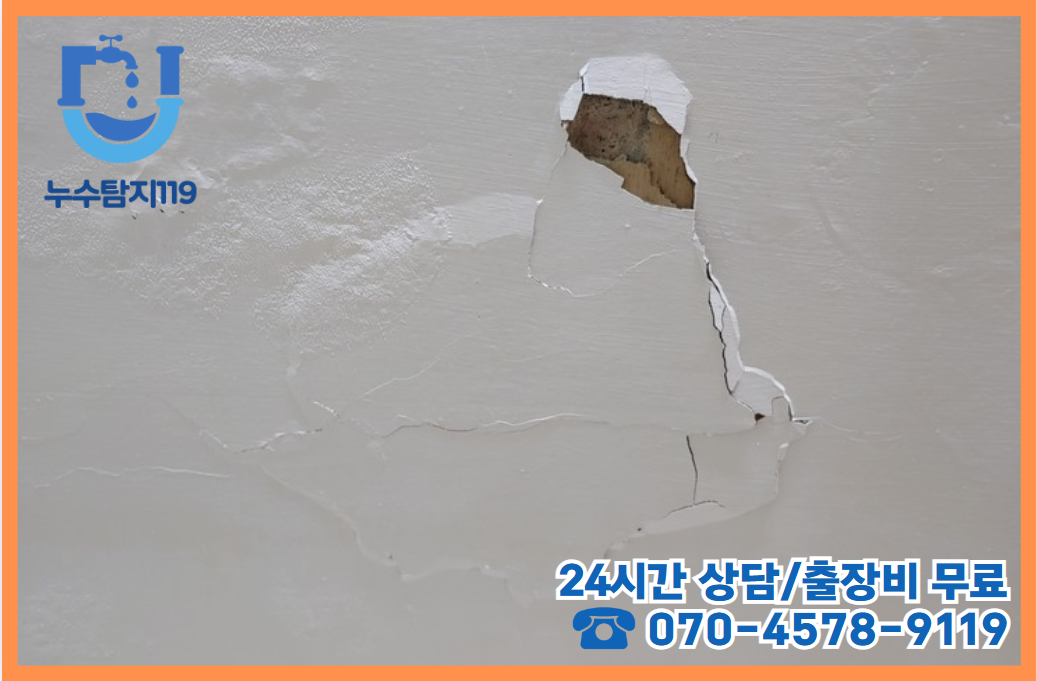 신대동 아파트/빌라/상가 건물2