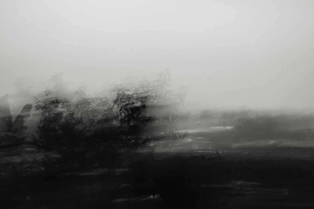 'TriVen'