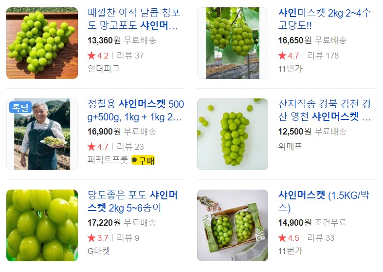 샤인머스켓가격효능